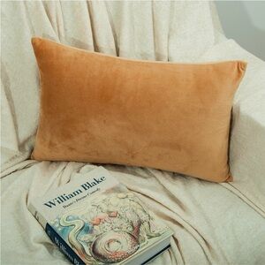 Soft Tan Rectangular Pillow